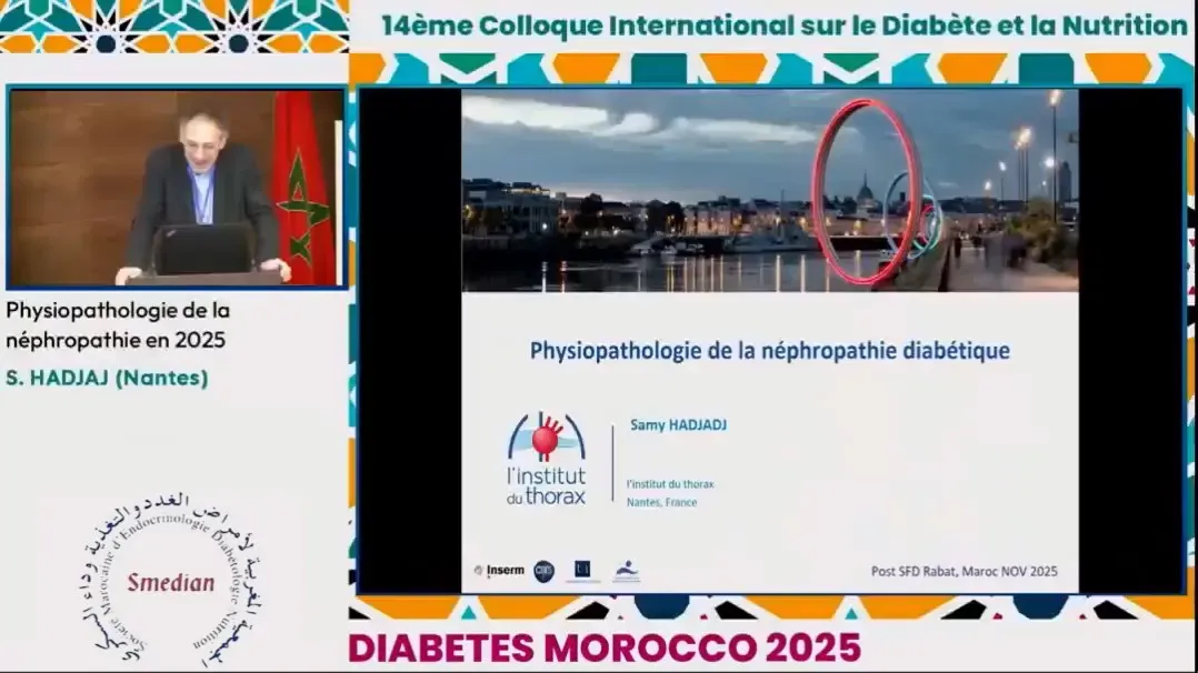 Physiopathologie de la néphropathie en 2025