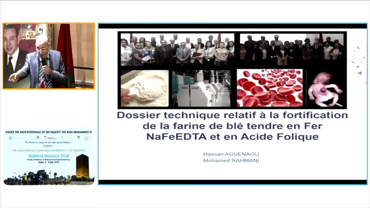 Remplacement du Fer élémentaire par le Fer de NaFeEDTA dans la farine: Dossier technique